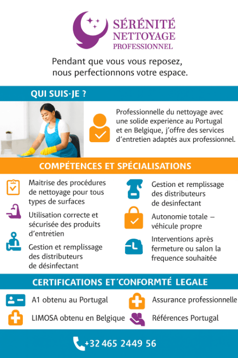 cleaning service professional cleaning service professional